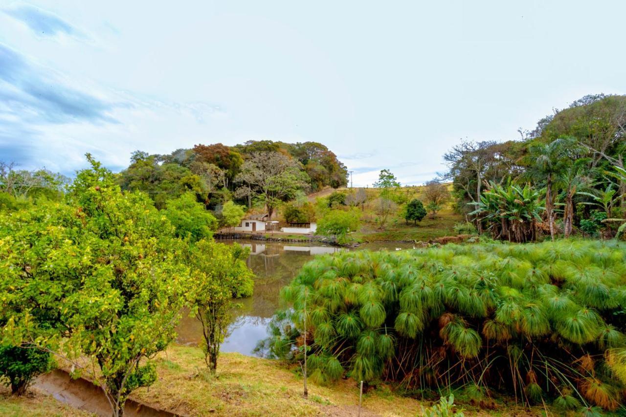 Fazenda Colina Dos Sonhos * Socorro (Sao Paulo)