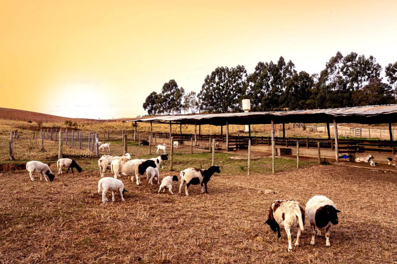 Fazenda Colina Dos Sonhos Hotel Socorro (Sao Paulo)